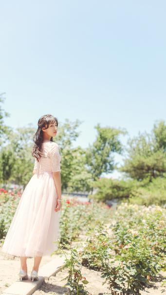 九重紫电视剧在线播放视频观看